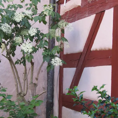 Und Gasthof Ritter St. Georg Hotel